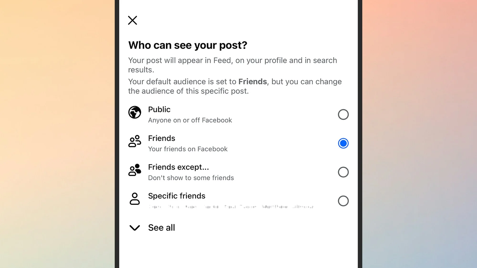 Facebook audience