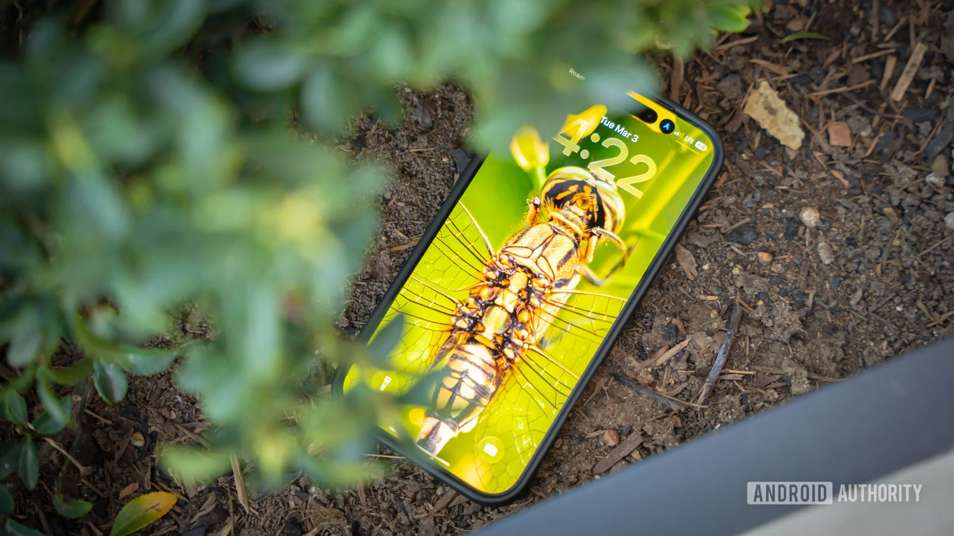 Wallpaper Wednesday: More great phone wallpapers for all to share (March 4)